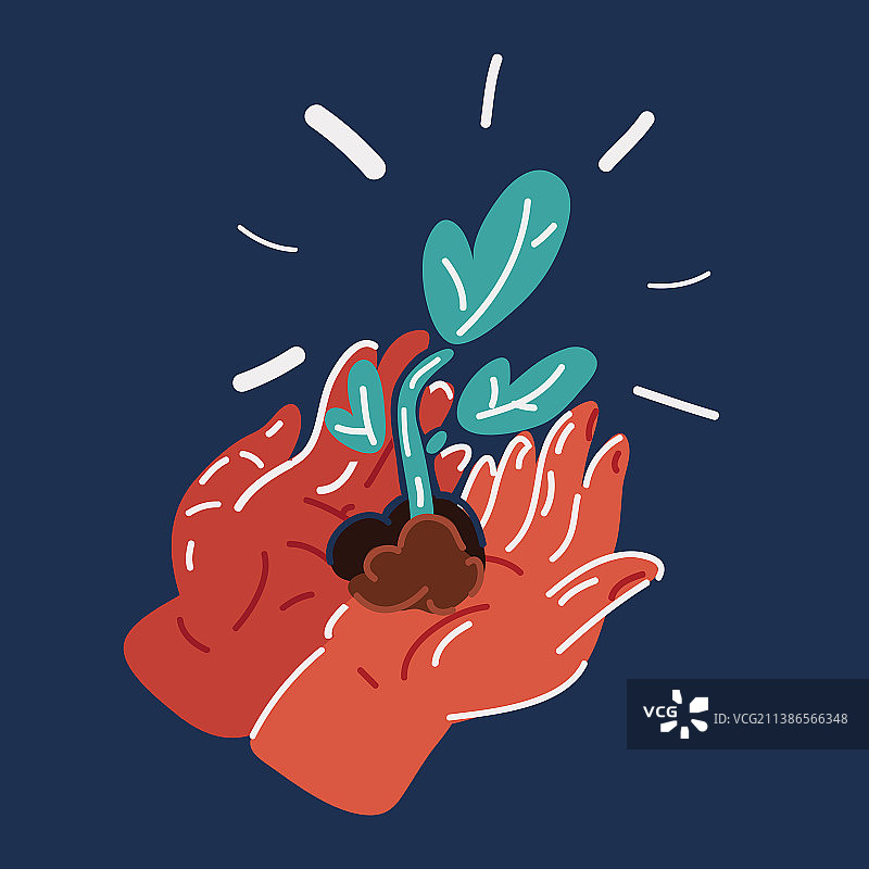 黑暗背景上手中的植物图片素材