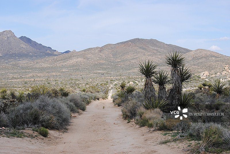 美国加利福尼亚州莫哈韦沙漠美景图片素材