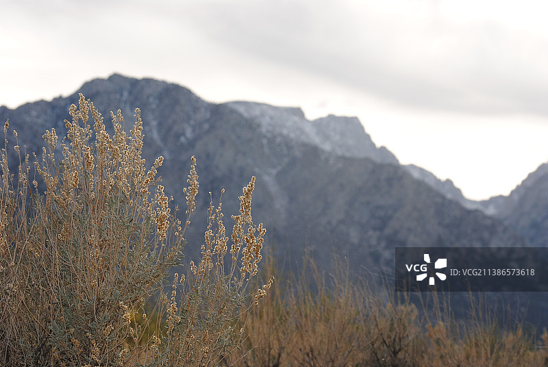 美国内华达州大盆地沙漠山脉风光图片素材