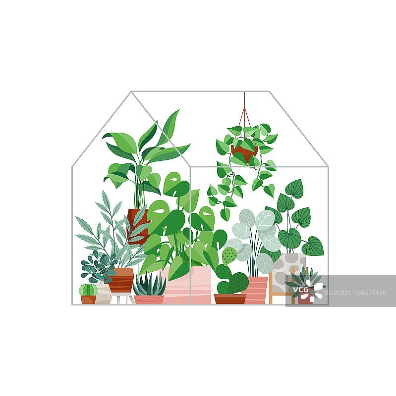 玻璃容器内的盆栽植物图片素材