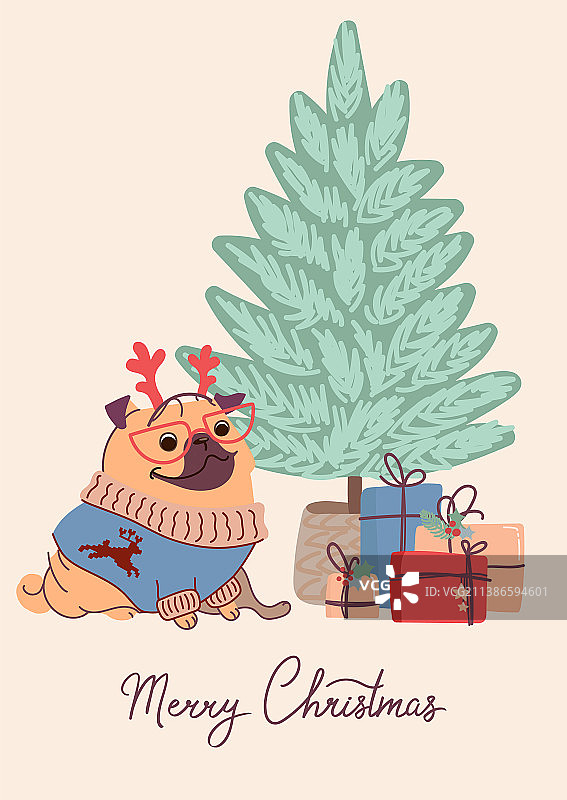 圣诞贺卡上穿着针织毛衣的可爱哈巴狗图片素材