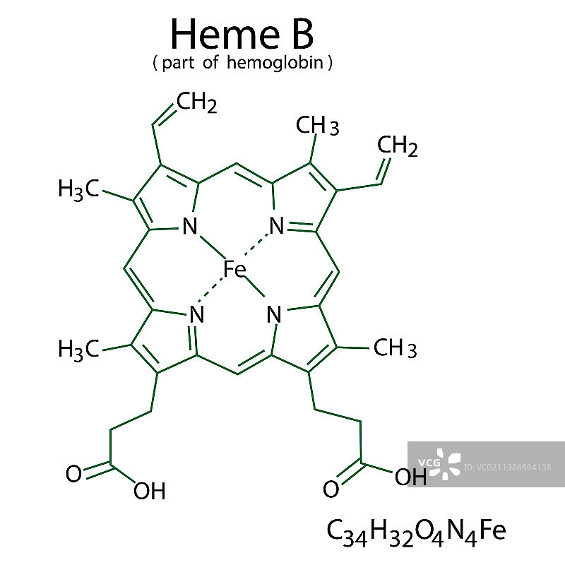 血红蛋白B化学式血细胞图片素材