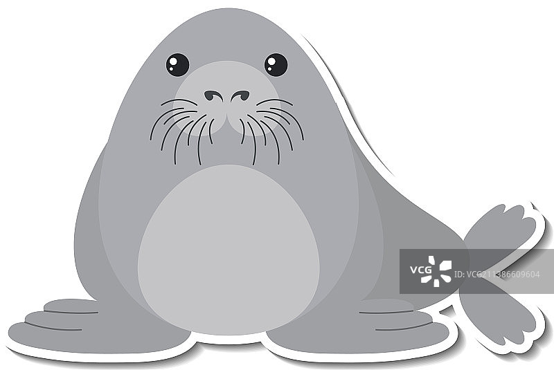 卡通海豹动物贴纸图片素材