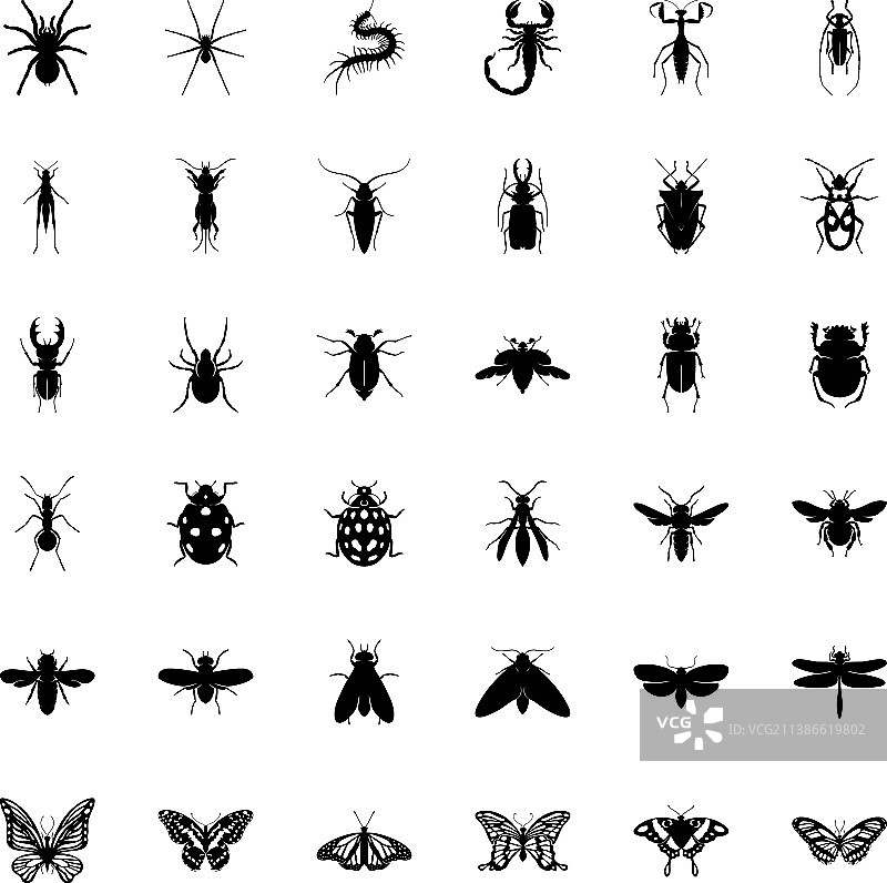 昆虫合集图片素材