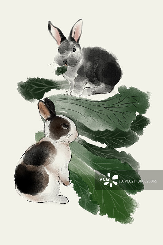 兔年行大运图片素材