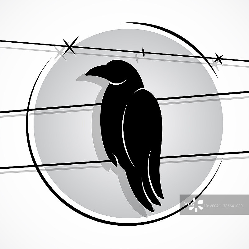 乌鸦剪影图片素材