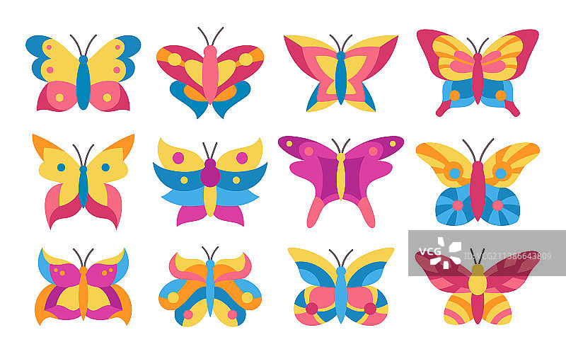 华丽的彩色蝴蝶图案套装图片素材