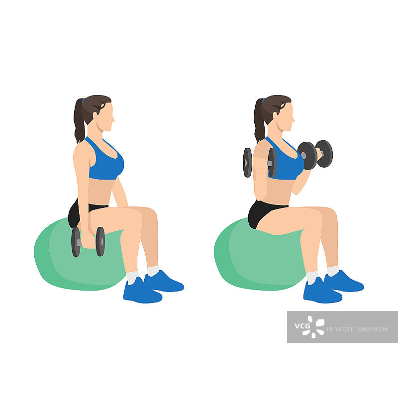 健身球哑铃二头肌弯举图片素材