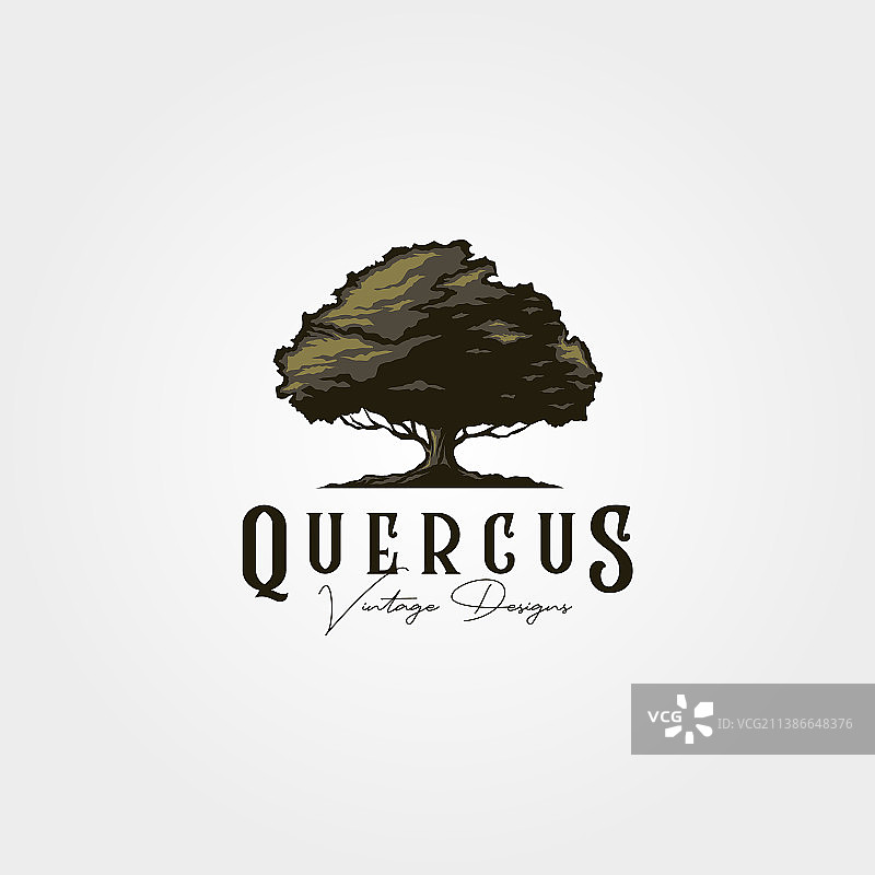 复古橡树logo设计图片素材