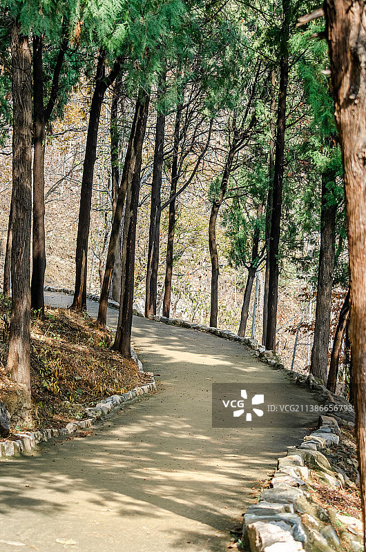 中国山东头泰安市泰山风景区，蜿蜒的步行道路和绿色山脉森林，户外无人图像摄影图片素材