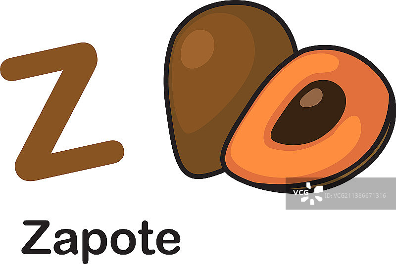 字母Z-人心果图片素材