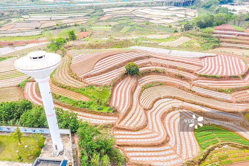 《广西南宁五彩田园》图片素材