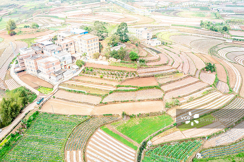 《广西南宁五彩田园》图片素材