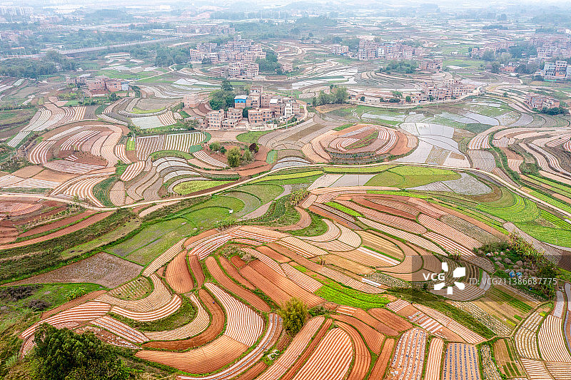 《广西南宁五彩田园》图片素材