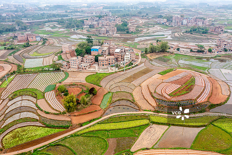 《广西南宁五彩田园》图片素材
