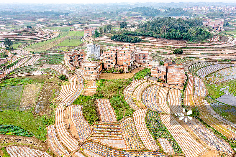 《广西南宁五彩田园》图片素材