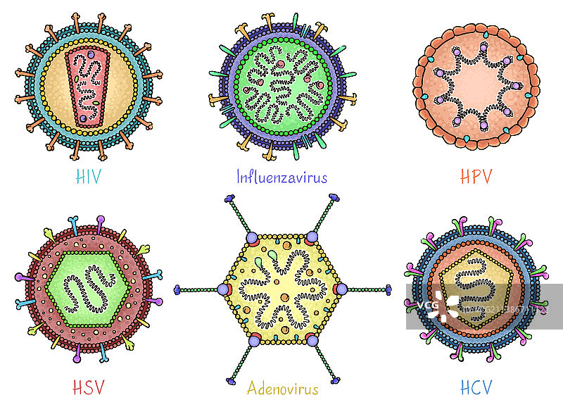 手绘风格的多种病毒素材图片素材