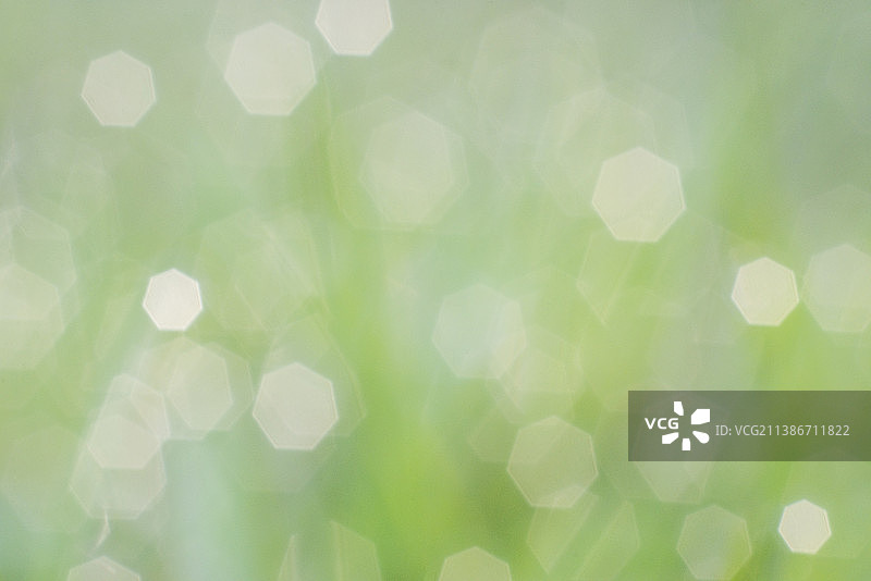 抽象背景的全帧镜头图片素材