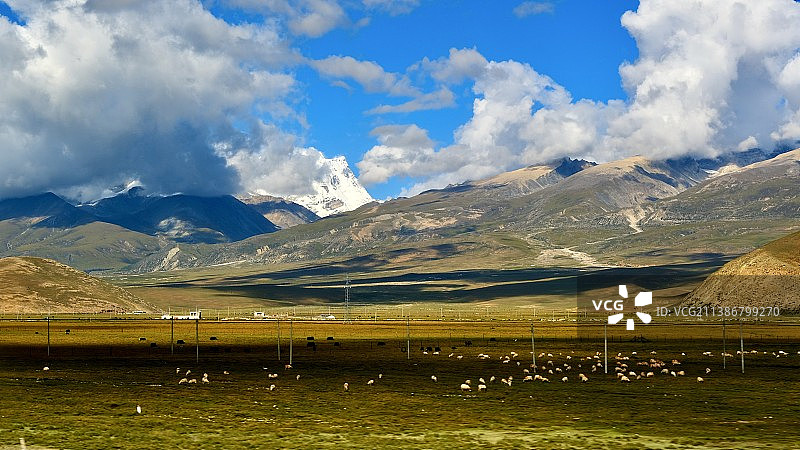 雪山下的牧场图片素材