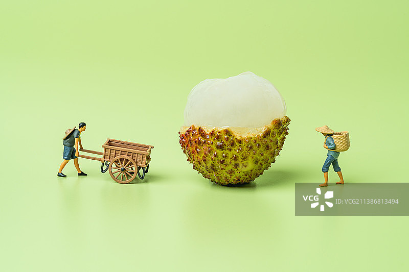 搬运剥壳的妃子笑荔枝创意微缩景观图片素材
