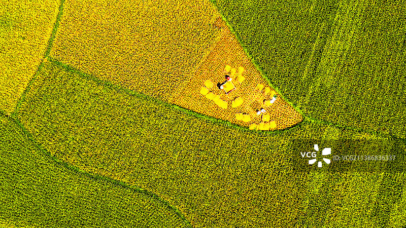 丰收的田野图片素材