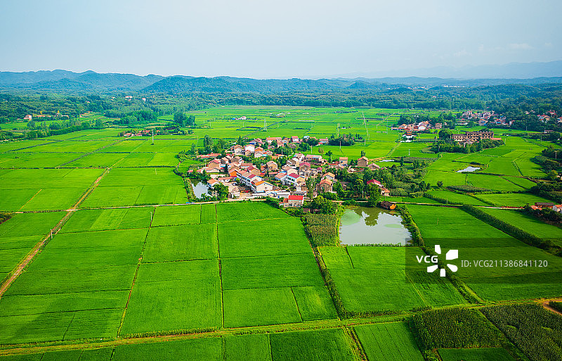 湖北江汉平原农田田野航拍自然风光图片素材