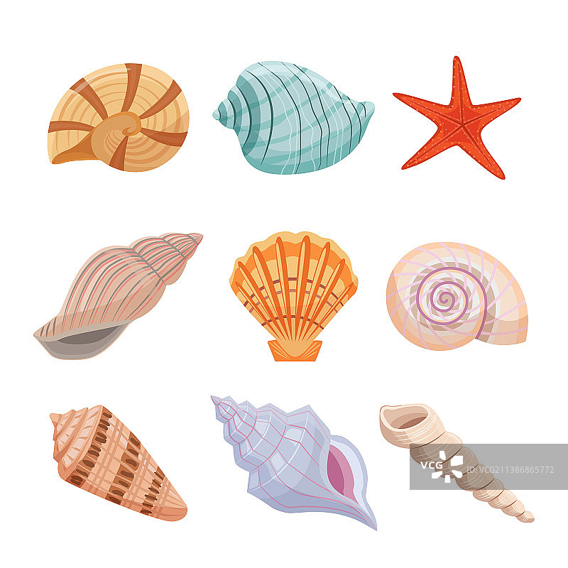 彩色海螺、海星和螺旋图片素材