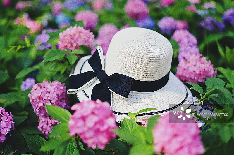 绣球花与草帽，夏日的小清新图片素材