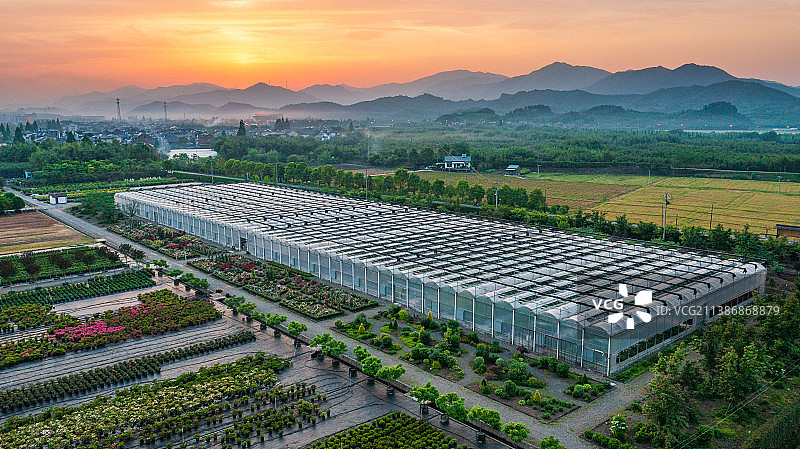 现代化科技苗木种植科技管理工厂图片素材