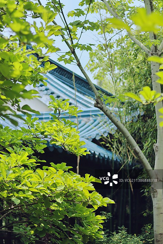 庭院深深图片素材