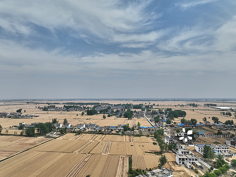 灵璧县小麦收割场面图片素材