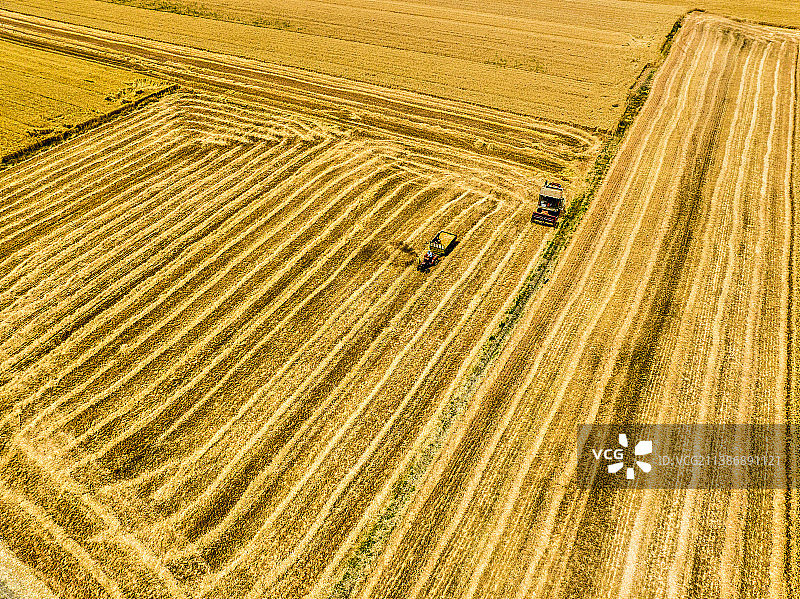 灵璧县小麦收割场面图片素材