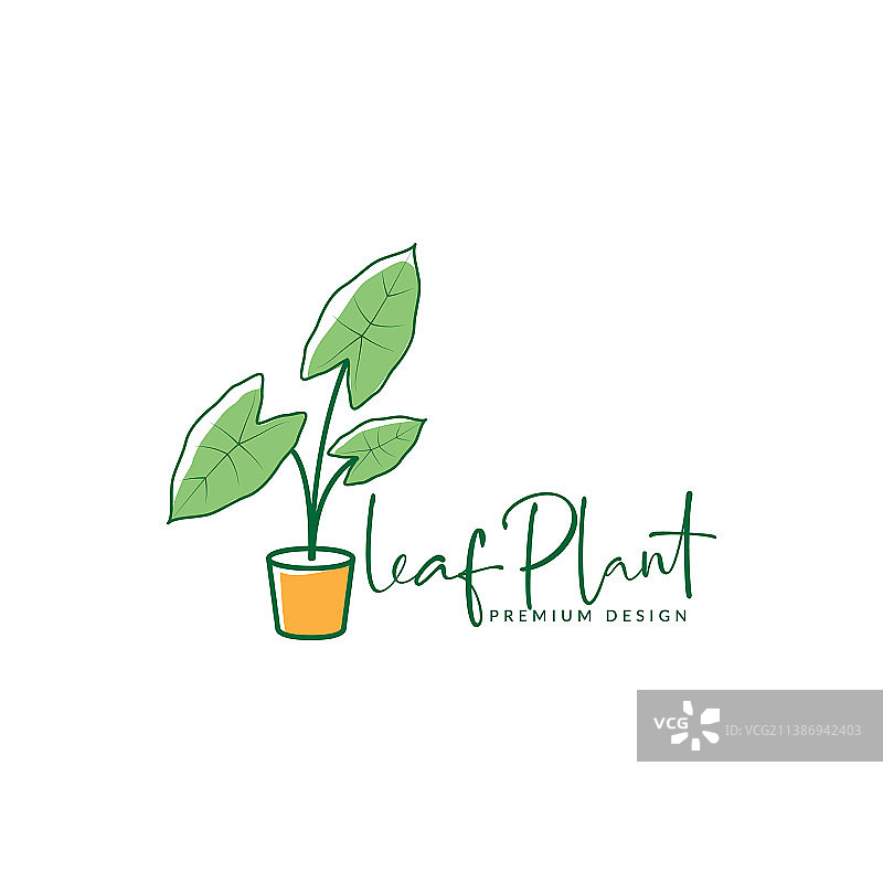 抽象花园植物花叶芋logo符号图标图片素材