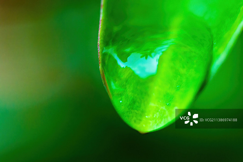 水珠 droplet图片素材