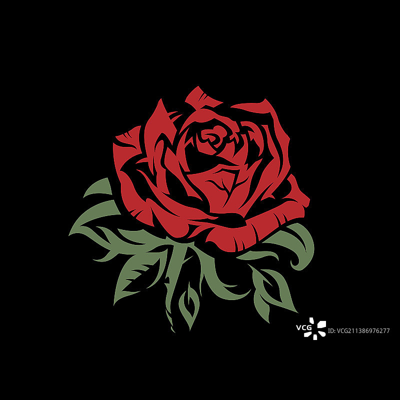 玫瑰花蕾图像图片素材