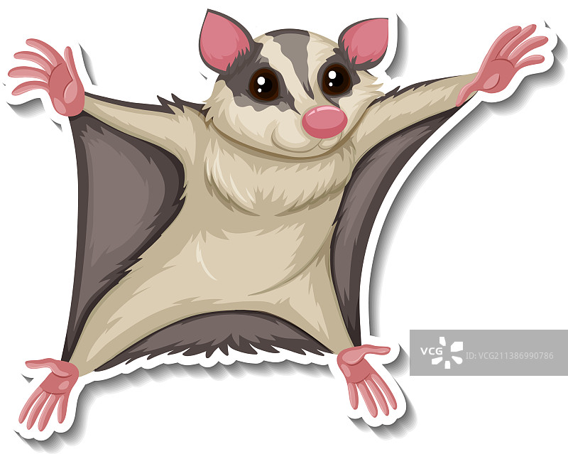 蜜袋鼯动物卡通贴纸图片素材