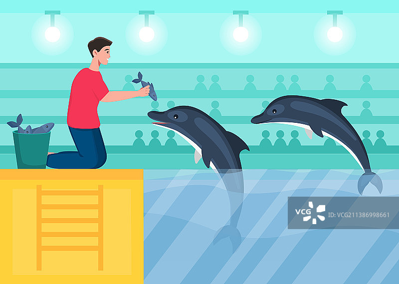 员工喂海豚图片素材