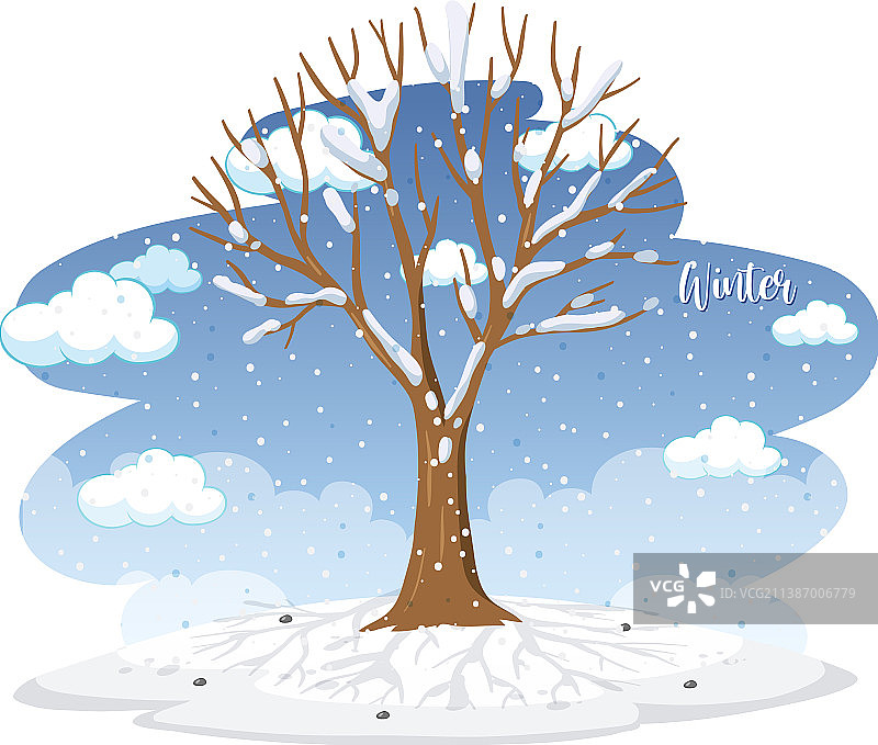 冬季雪树图片素材