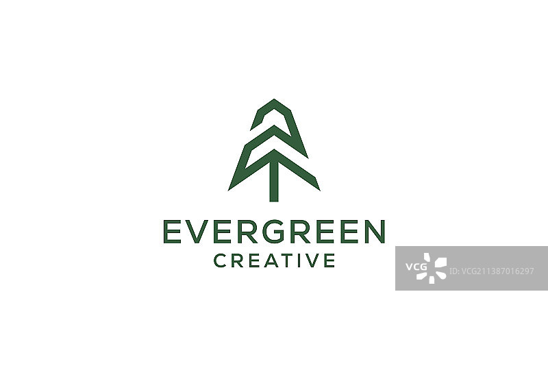 字母Z与松柏类植物图案图片素材