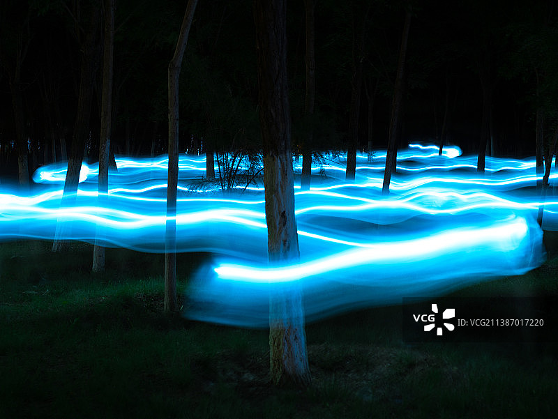 夜幕中的树木图片素材