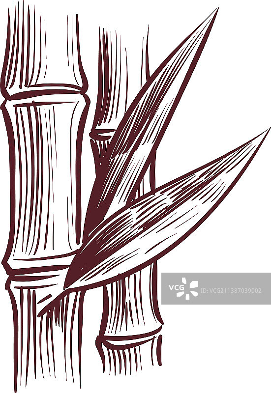 植物茎叶雕刻图案图片素材