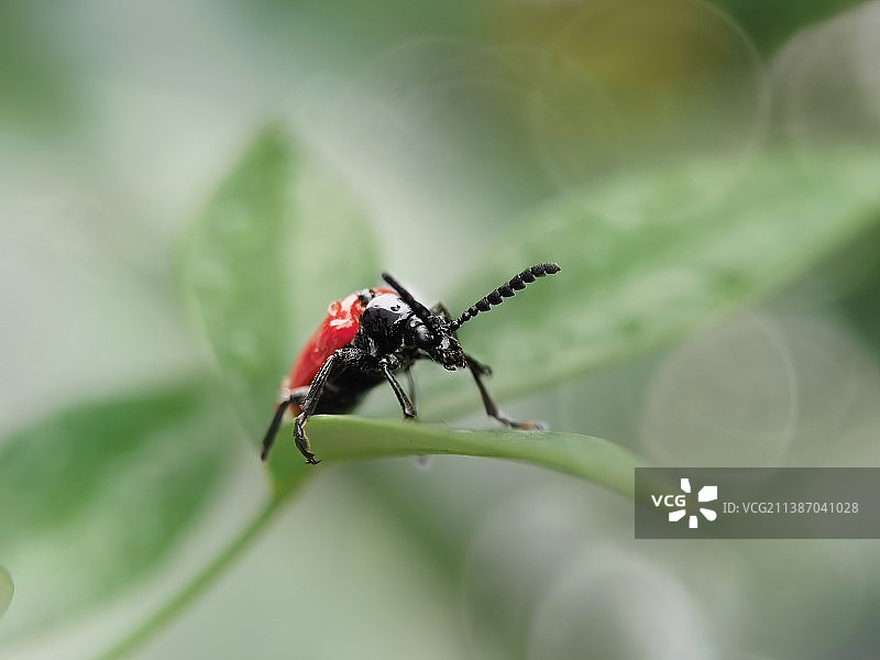 别惹我图片素材