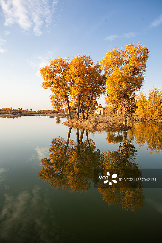 罗布人村寨图片素材