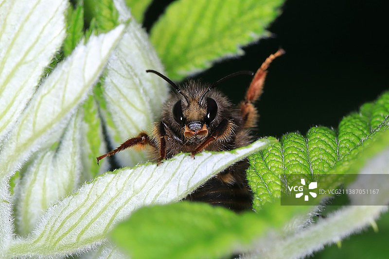 快离开我的领地图片素材