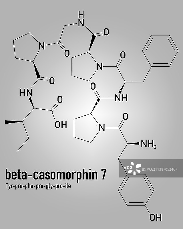β-酪啡肽7分子骨架式图片素材