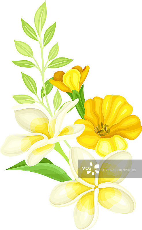 明亮的黄色花束，带有精致的花朵图片素材