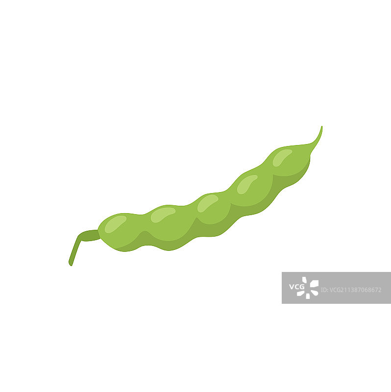 绿色新鲜的年轻豆荚图片素材