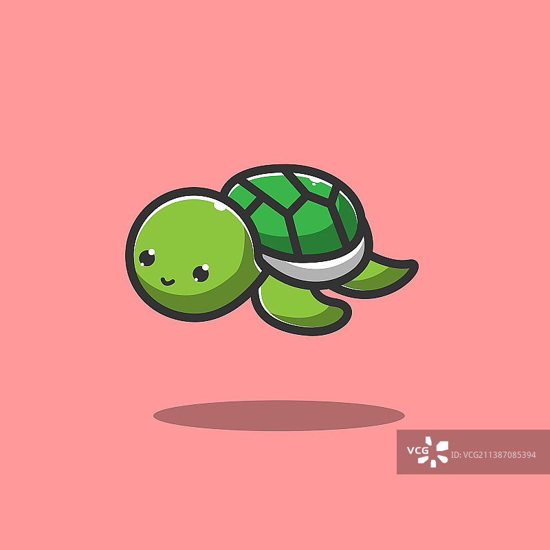 可爱的幼年海龟图片素材