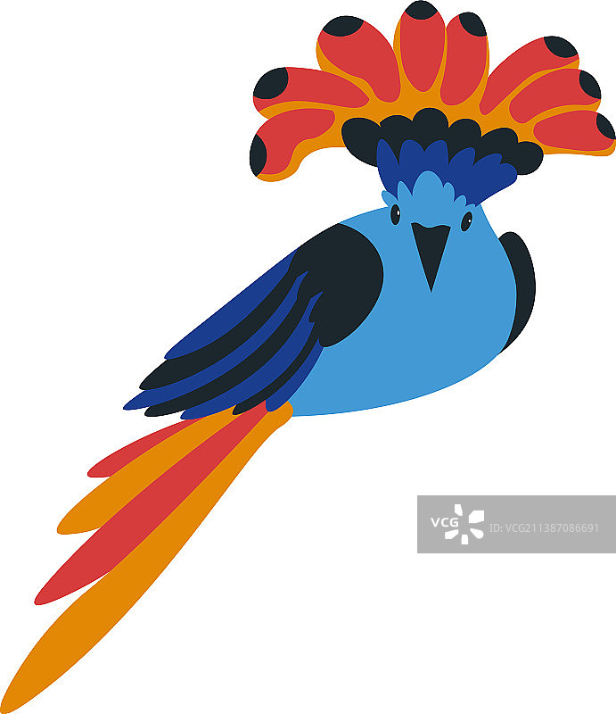 西部冕鸽或珍稀鸟类或鹦鹉图片素材