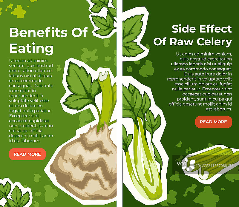 食用芹菜的益处与副作用海报图片素材